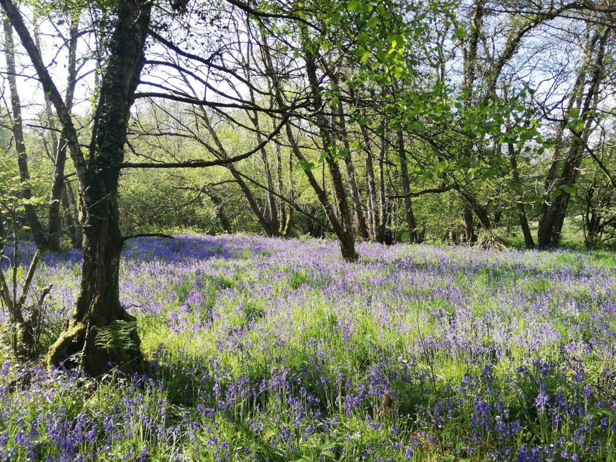Wray Valley Moretonhampstead Esterno foto