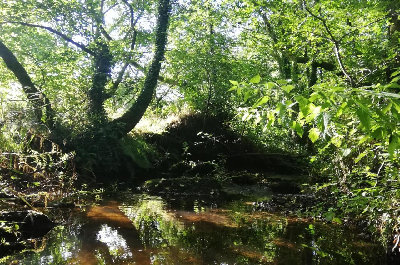 Wray Valley Moretonhampstead Esterno foto