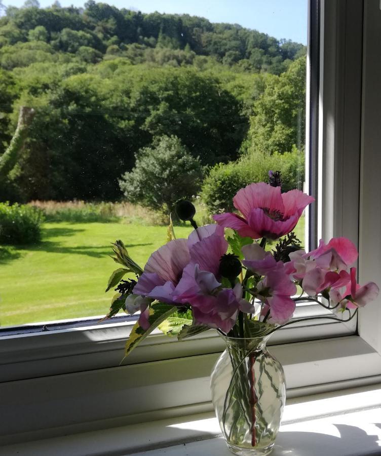 Wray Valley Moretonhampstead Esterno foto