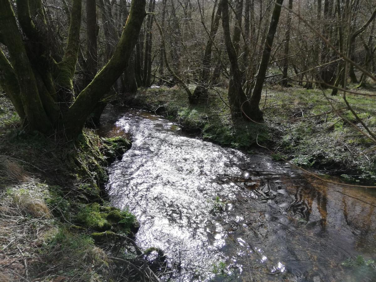 Wray Valley Moretonhampstead Esterno foto