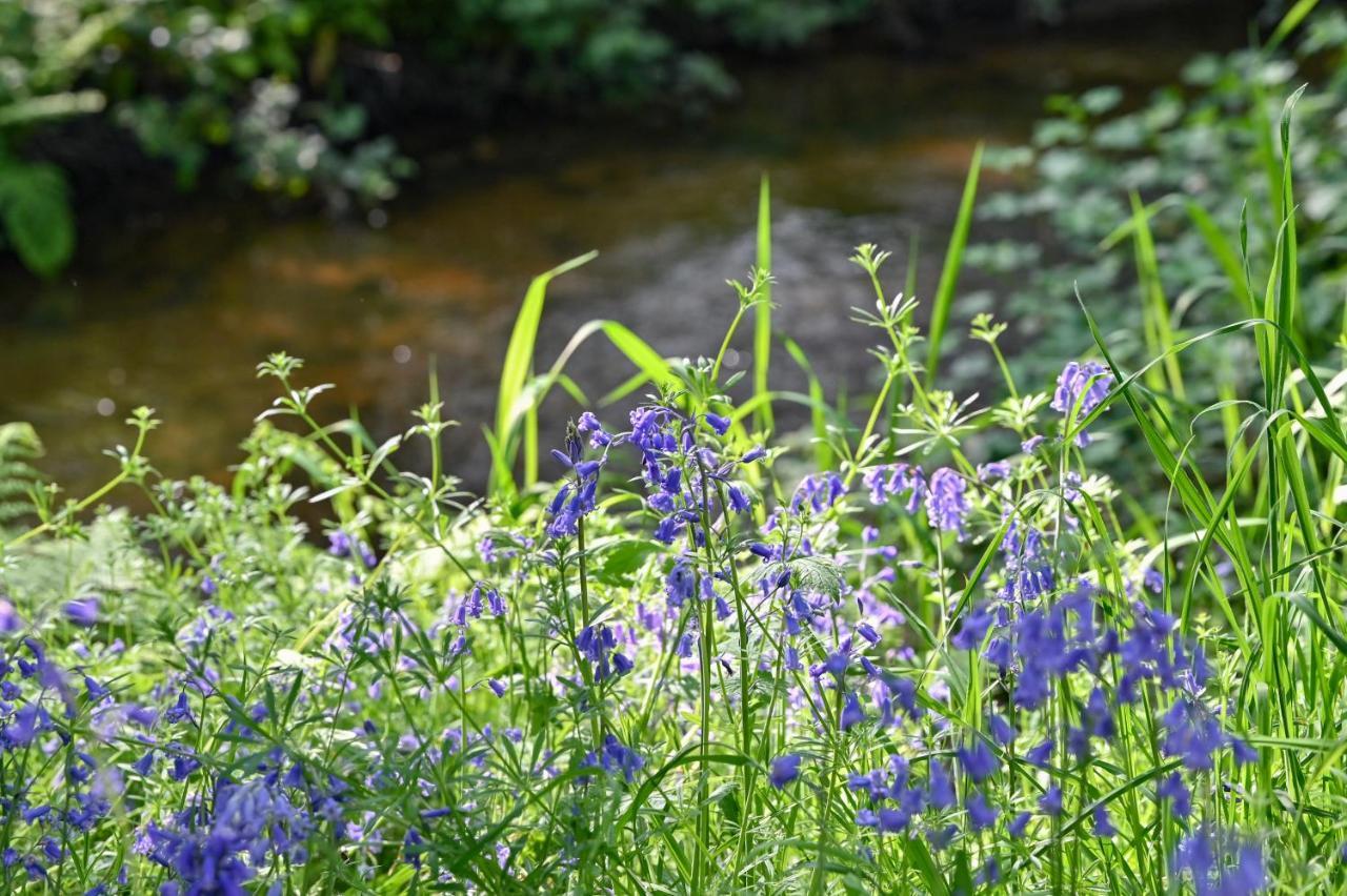 Wray Valley Moretonhampstead Esterno foto