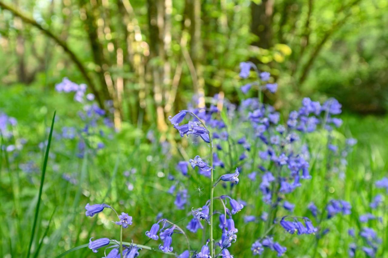 Wray Valley Moretonhampstead Esterno foto