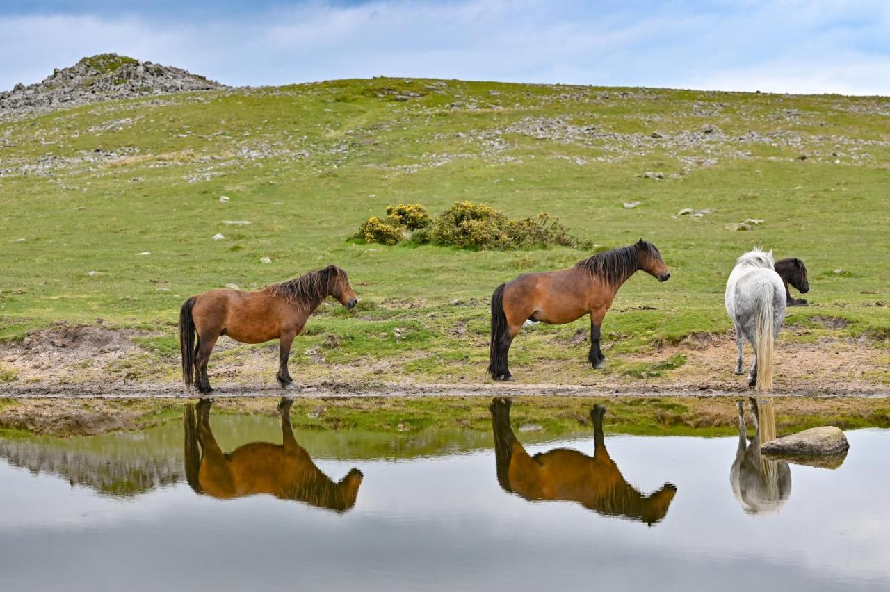 Wray Valley Moretonhampstead Esterno foto